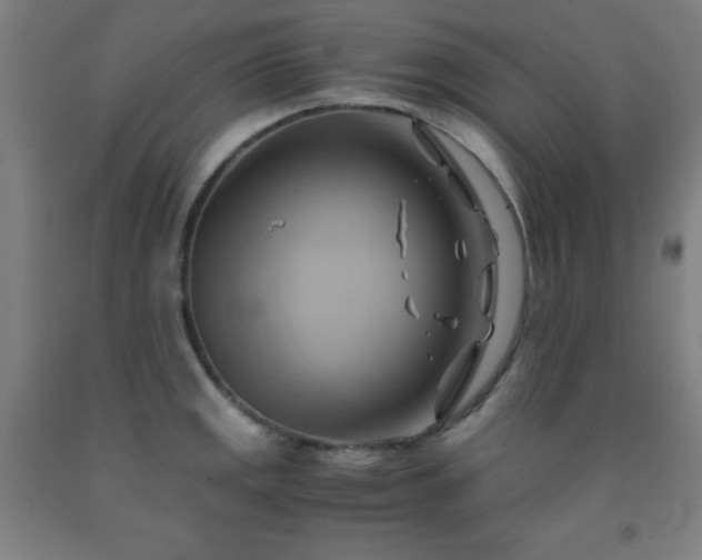 X0000093241141200709261703
