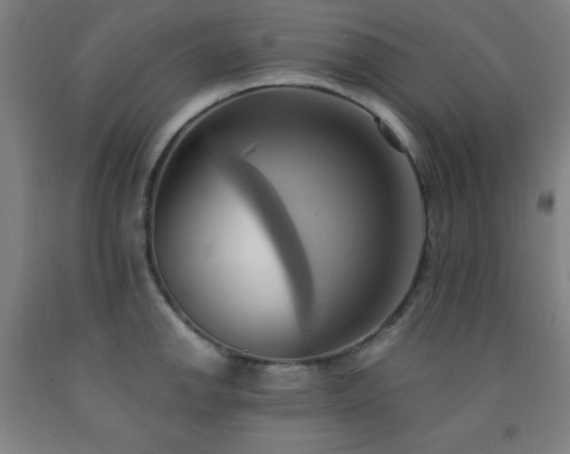 X0000093241142200709261703