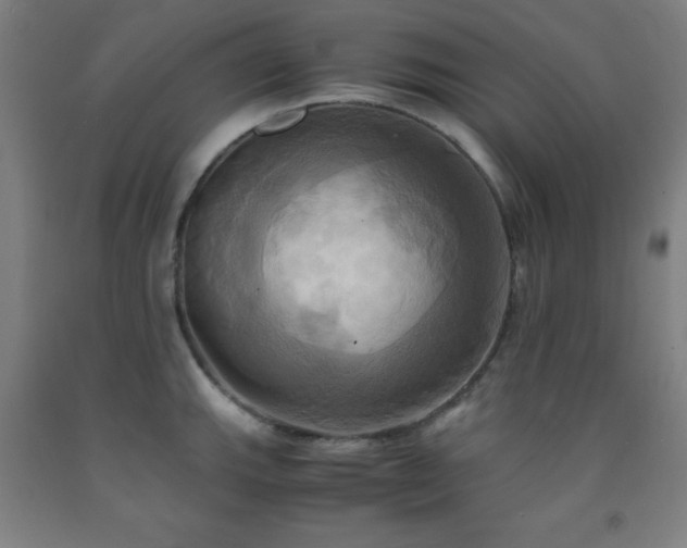 X0000093241143200709261703