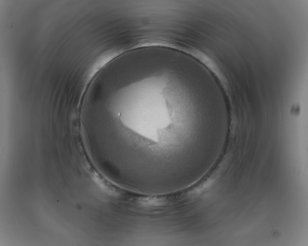 X0000093241145200709261703