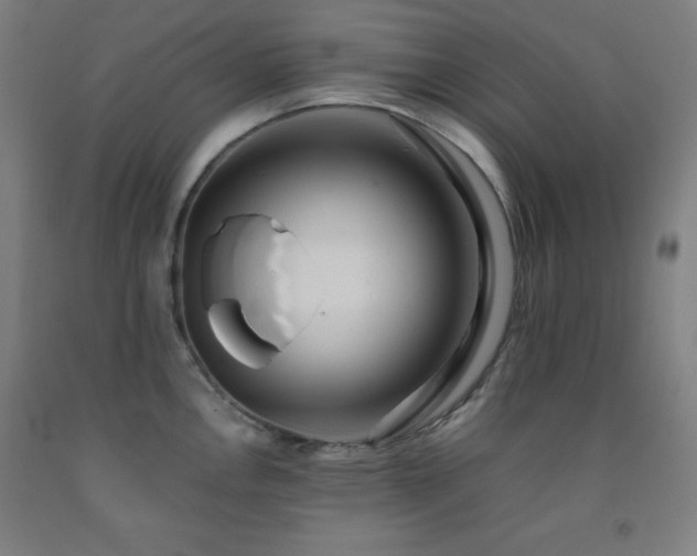 X0000093241146200709261703