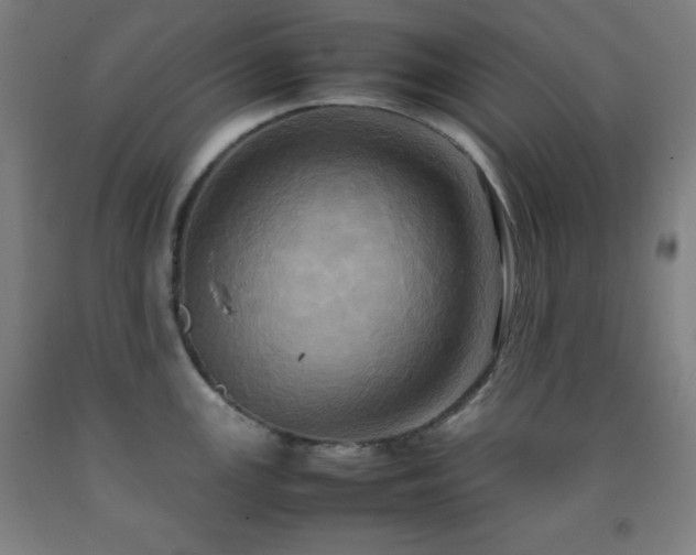 X0000093241147200709261703