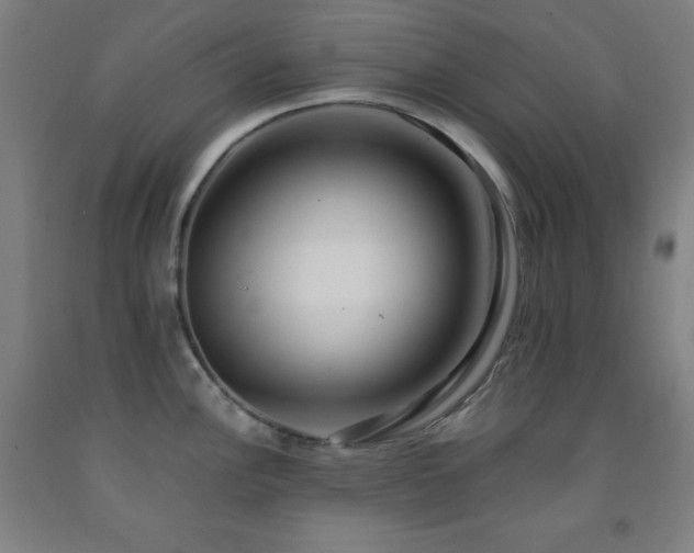 X0000093241148200709261703