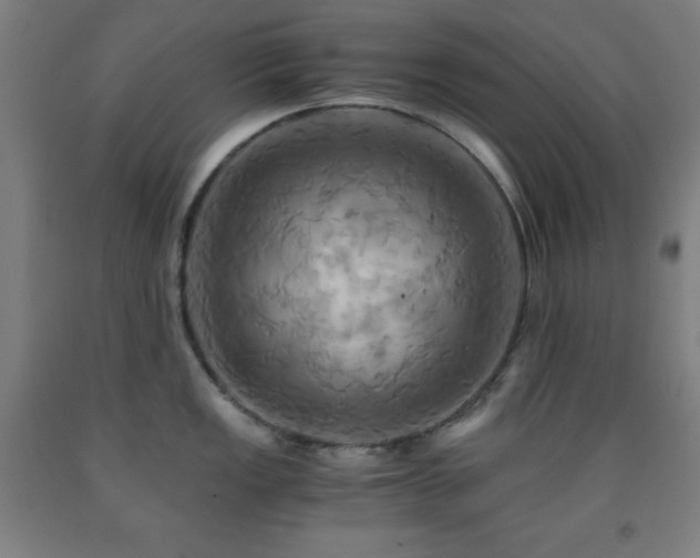 X0000093241149200709261703
