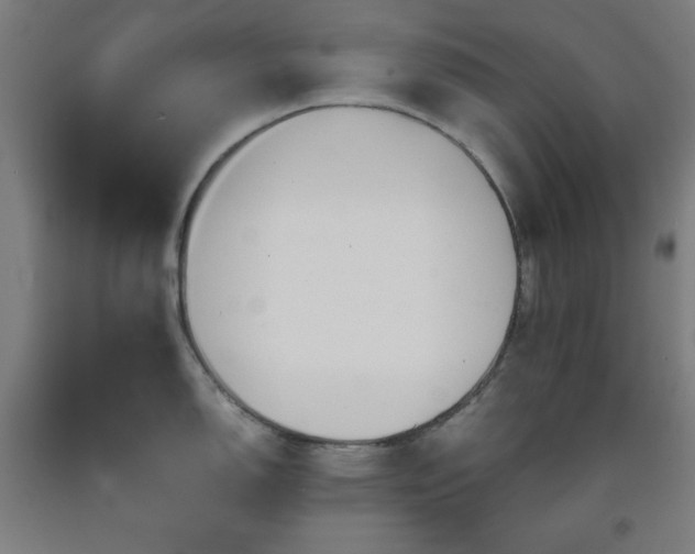 X0000093241150200709261703