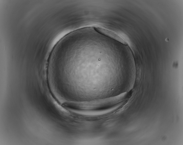 X0000093241151200709261703