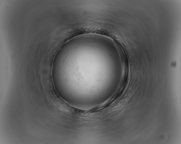 X0000093241153200709261702