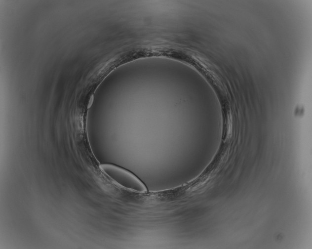X0000093241155200709261702