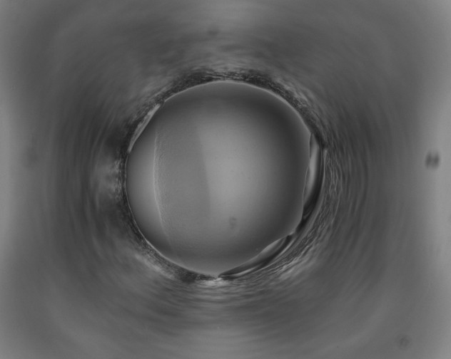 X0000093241156200709261702