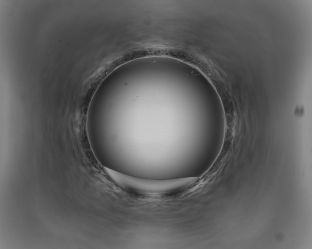 X0000093241157200709261702