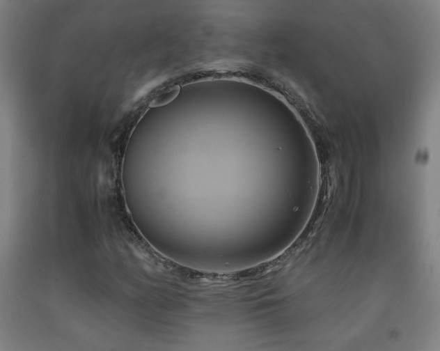 X0000093241158200709261702