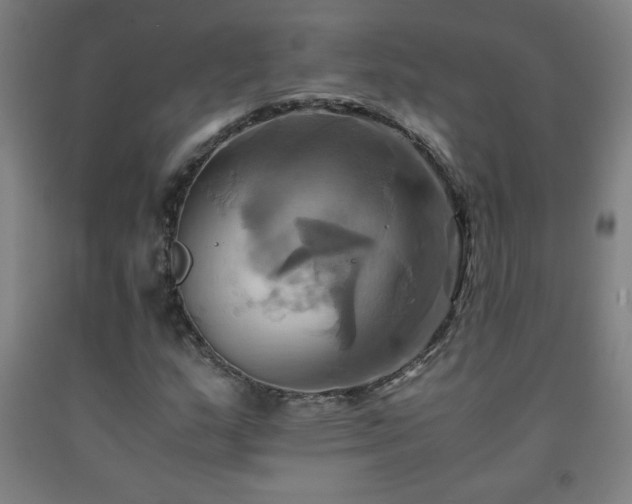 X0000093241159200709261702