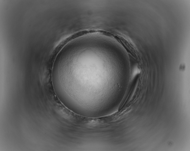 X0000093241160200709261702