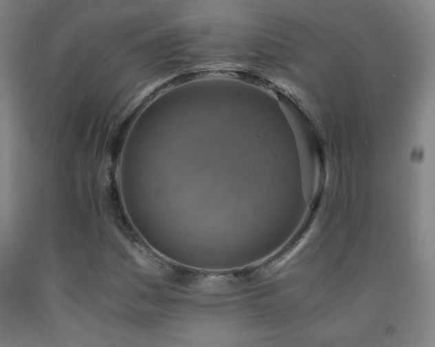 X0000093241161200709261702