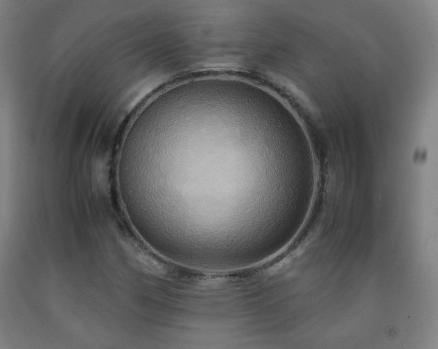 X0000093241162200709261702