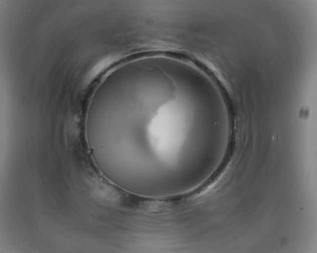 X0000093241163200709261702