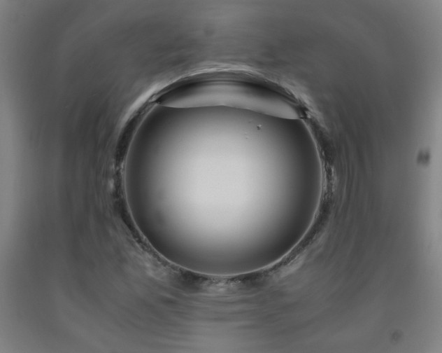 X0000093241165200709261702