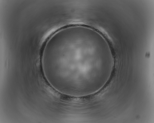 X0000093241167200709261702