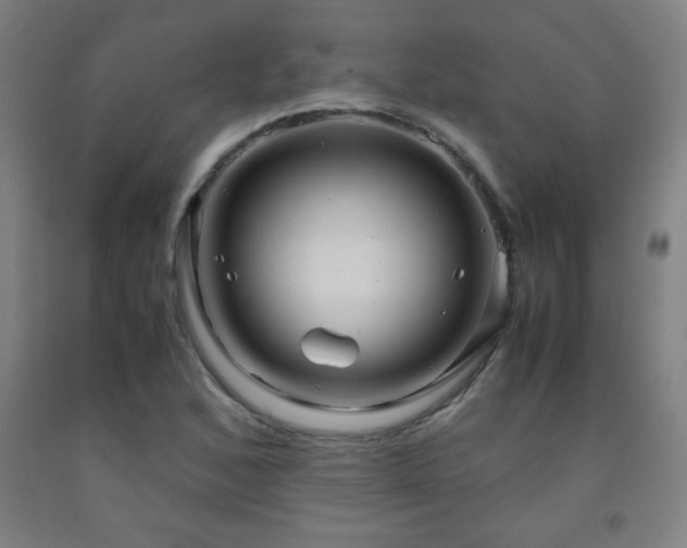 X0000093241168200709261702
