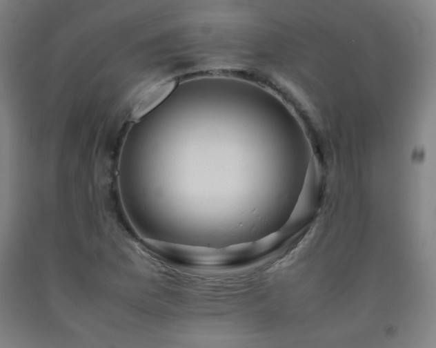 X0000093241169200709261702