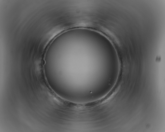 X0000093241170200709261702