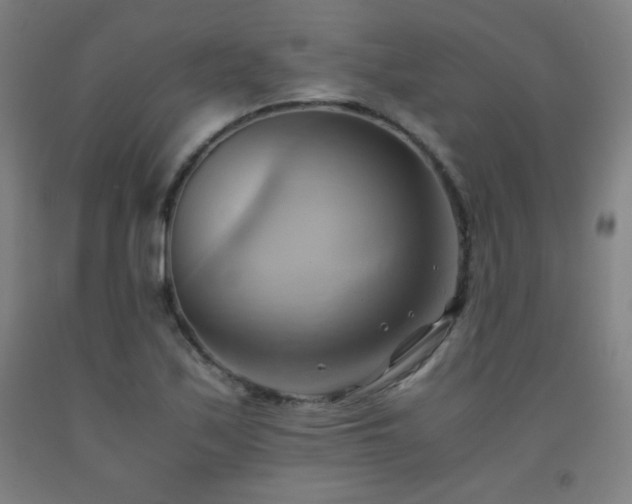 X0000093241171200709261702