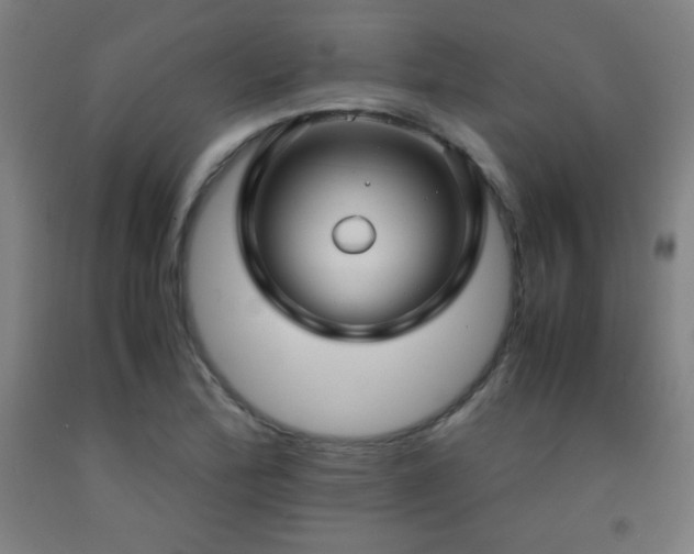 X0000093241172200709261702