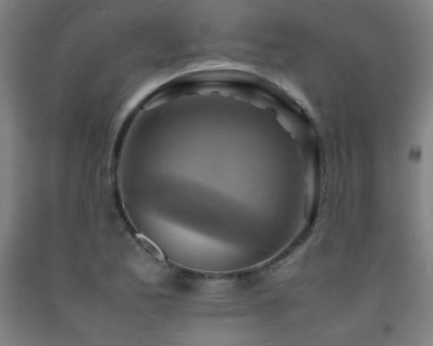 X0000093241173200709261702