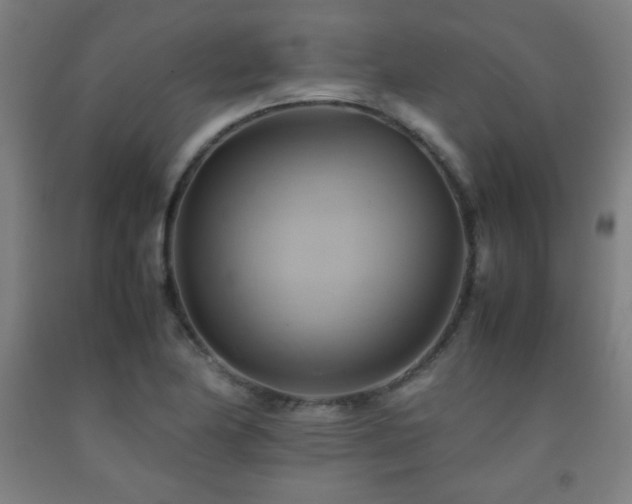X0000093241174200709261702
