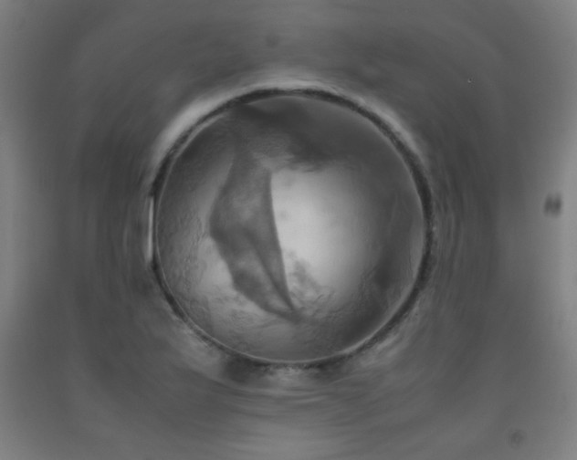 X0000093241175200709261702