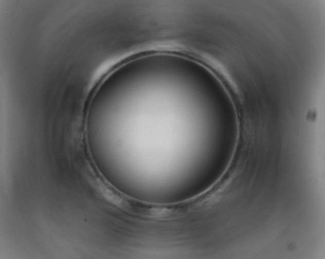 X0000093241176200709261702