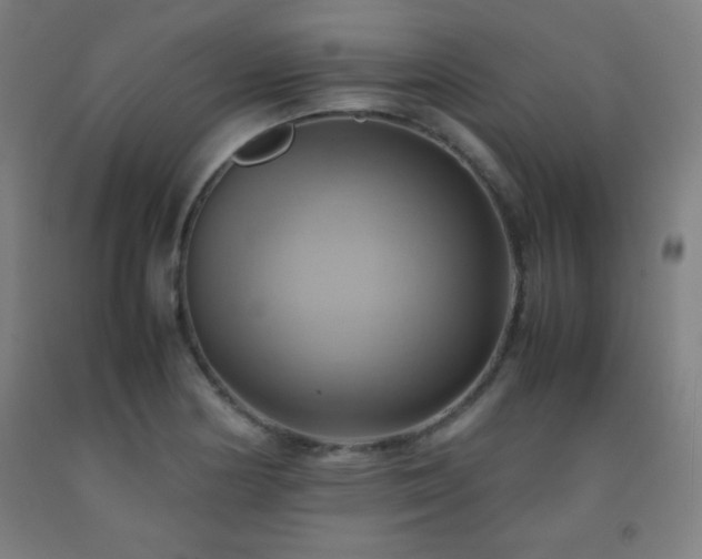 X0000093241178200709261702
