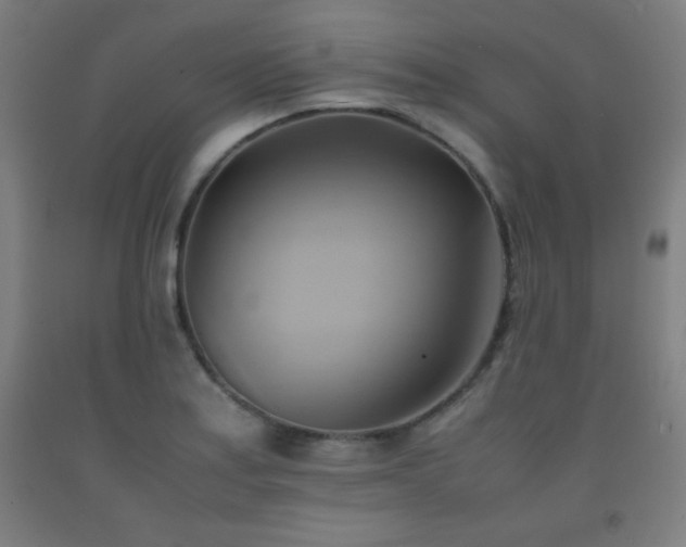 X0000093241179200709261702