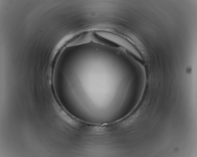 X0000093241180200709261702