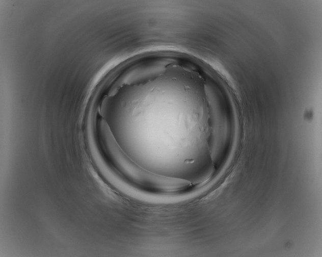 X0000093241181200709261702