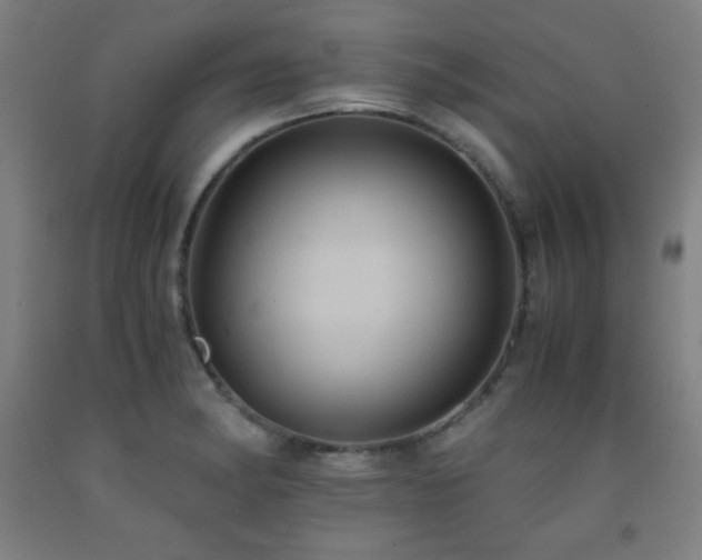X0000093241182200709261702