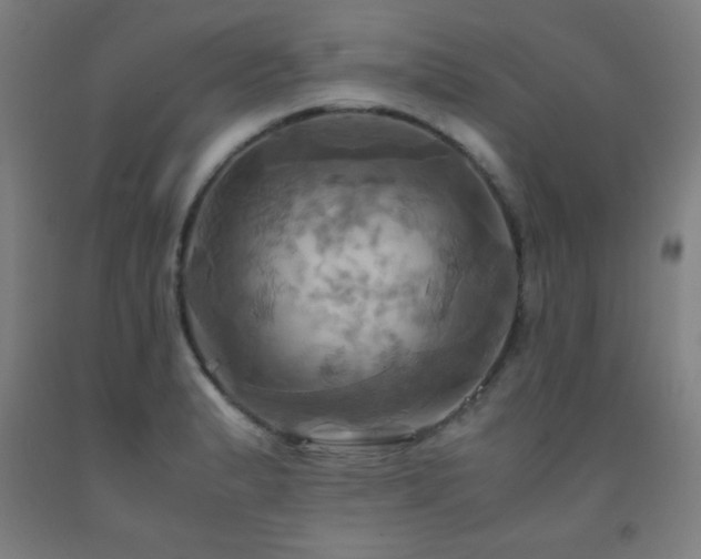 X0000093241183200709261702