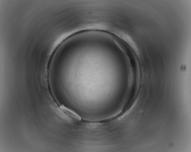 X0000093241184200709261702