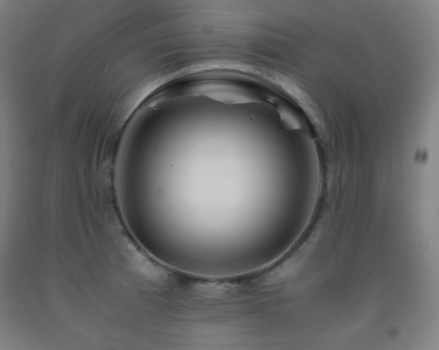 X0000093241185200709261702