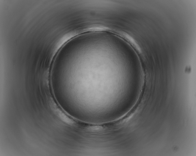 X0000093241186200709261702