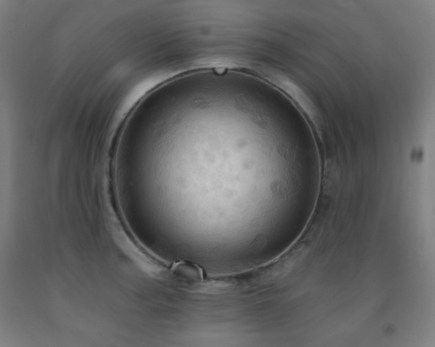 X0000093241187200709261702