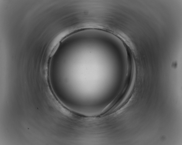 X0000093241188200709261702
