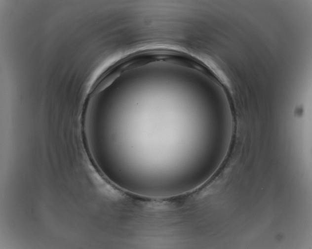 X0000093241189200709261702