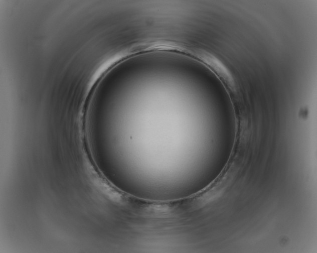 X0000093241190200709261702