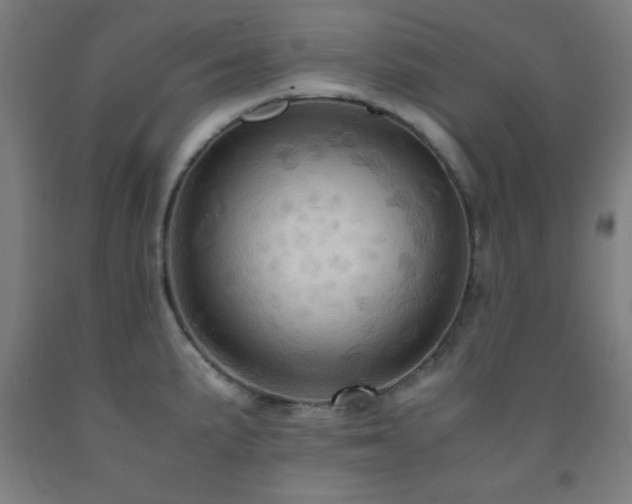 X0000093241191200709261702
