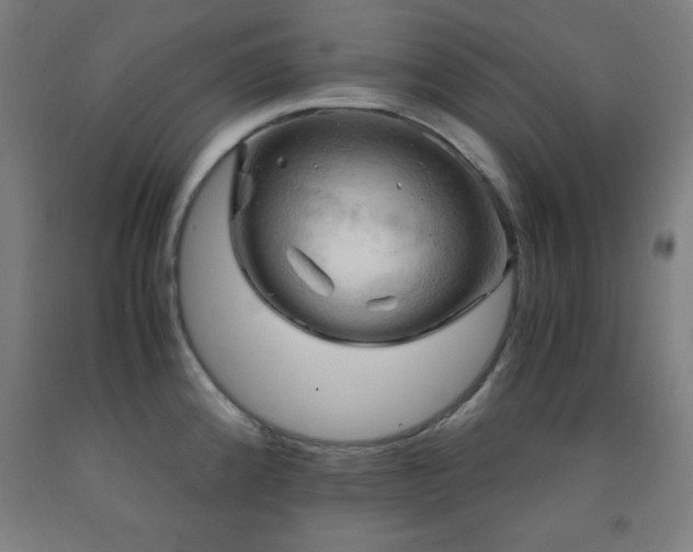 X0000093241192200709261702