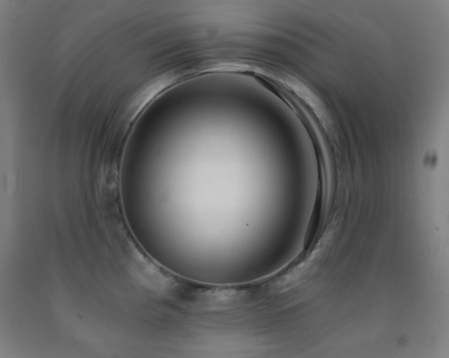 X0000093241193200709261702
