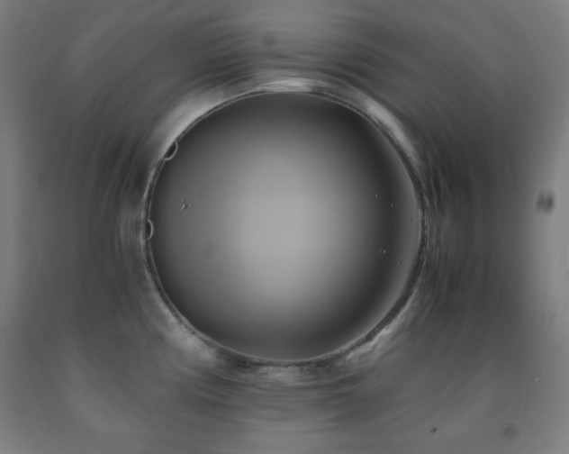 X0000093241194200709261702