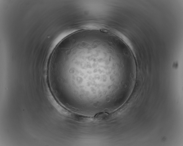 X0000093241195200709261702