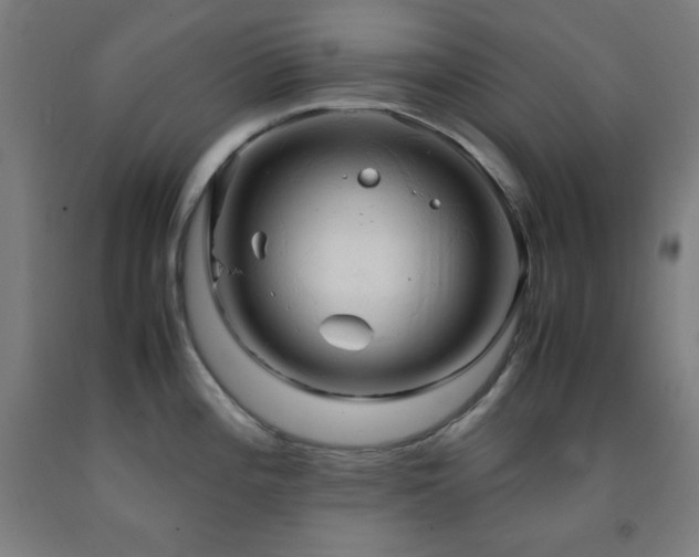 X0000093241196200709261702